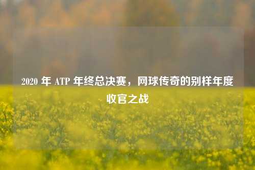 2020 年 ATP 年终总决赛，网球传奇的别样年度收官之战