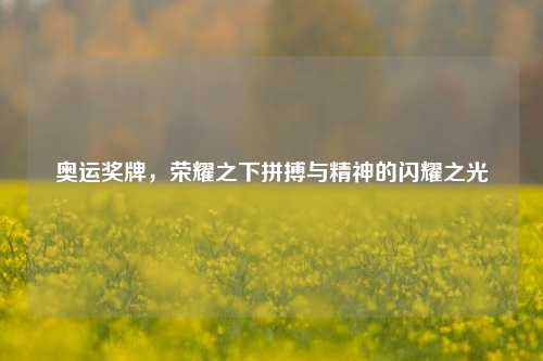 奥运奖牌，荣耀之下拼搏与精神的闪耀之光