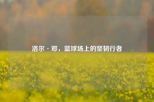 洛尔·邓，篮球场上的坚韧行者