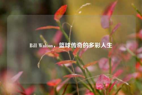 Bill Walton，篮球传奇的多彩人生