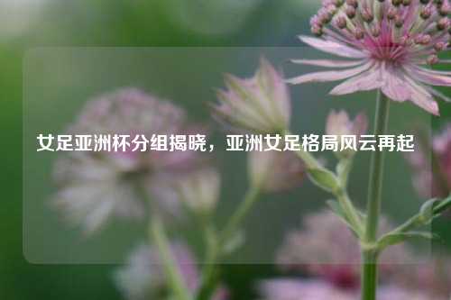 女足亚洲杯分组揭晓，亚洲女足格局风云再起