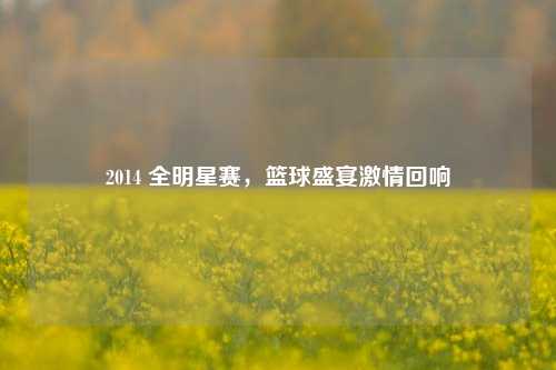2014 全明星赛，篮球盛宴激情回响