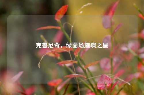 克鲁尼奇，绿茵场璀璨之星