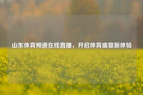 山东体育频道在线直播，开启体育盛宴新体验