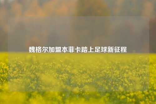魏格尔加盟本菲卡踏上足球新征程