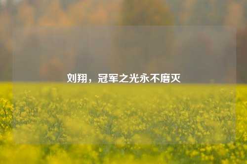 刘翔,冠军之光永不磨灭
