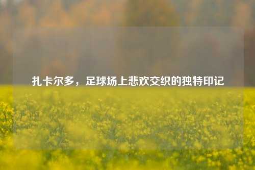 扎卡尔多,足球场上悲欢交织的独特印记