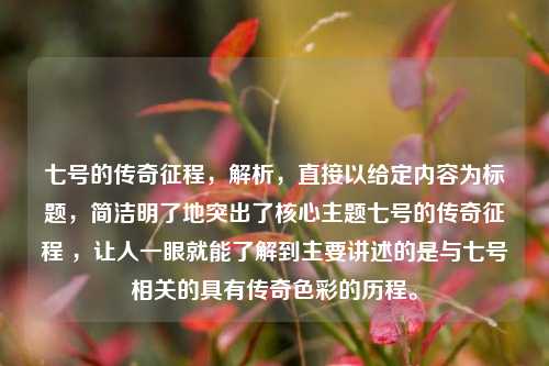 七号的传奇征程，解析，直接以给定内容为标题，简洁明了地突出了核心主题七号的传奇征程 ，让人一眼就能了解到主要讲述的是与七号相关的具有传奇色彩的历程。