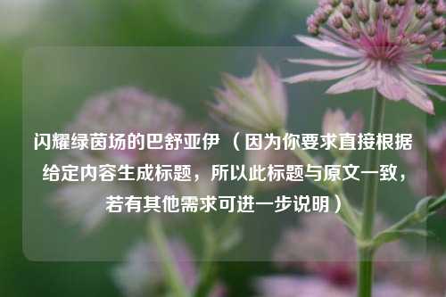 闪耀绿茵场的巴舒亚伊 （因为你要求直接根据给定内容生成标题，所以此标题与原文一致，若有其他需求可进一步说明）