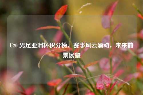 U20 男足亚洲杯积分榜，赛事风云涌动，未来前景展望