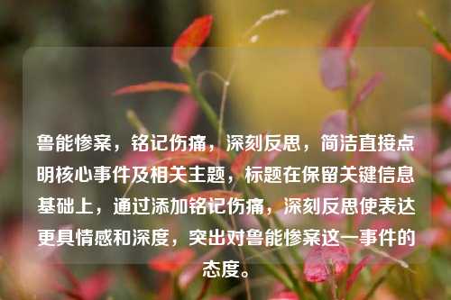 鲁能惨案,铭记伤痛,深刻反思,简洁直接点明核心事件及相关主题,标题在保留关键信息基础上,通过添加铭记伤痛,深刻反思使表达更具情感和深度,突出对鲁能惨案这一事件的态度。