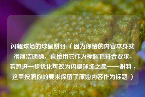 闪耀球场的球星谢羽 （因为你给的内容本身就很简洁明确，直接用它作为标题也符合要求，若想进一步优化可改为闪耀球场之星——谢羽 ，这里按照你的要求保留了原始内容作为标题 ）