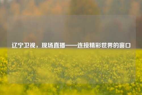 辽宁卫视,现场直播——连接精彩世界的窗口