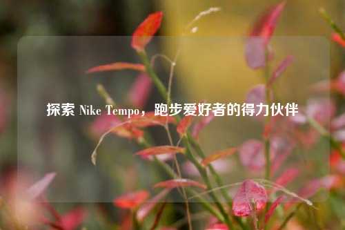 探索 Nike Tempo,跑步爱好者的得力伙伴