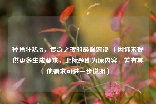 摔角狂热33，传奇之夜的巅峰对决 （因你未提供更多生成要求，此标题即为原内容，若有其他需求可进一步说明）