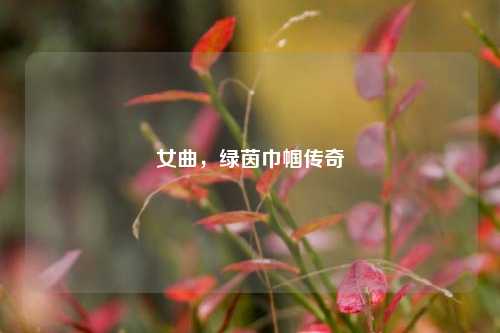 女曲，绿茵巾帼传奇