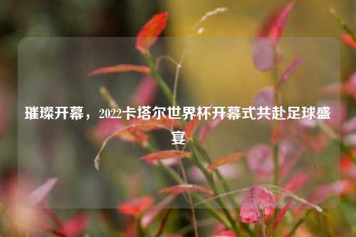 璀璨开幕，2022卡塔尔世界杯开幕式共赴足球盛宴