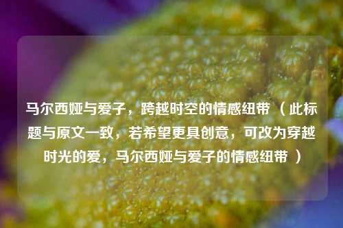马尔西娅与爱子，跨越时空的情感纽带 （此标题与原文一致，若希望更具创意，可改为穿越时光的爱，马尔西娅与爱子的情感纽带 ）