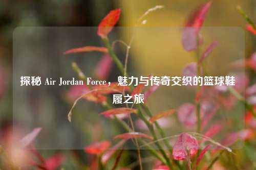 探秘 Air Jordan Force，魅力与传奇交织的篮球鞋履之旅
