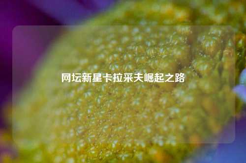 网坛新星卡拉采夫崛起之路