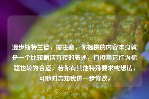漫步斯特兰德，需注意，你提供的内容本身就是一个比较简洁直接的表述，直接用它作为标题也较为合适，若你有其他特殊要求或想法，可随时告知我进一步修改。