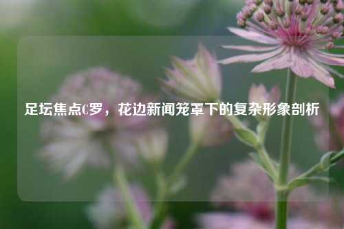 足坛焦点C罗，花边新闻笼罩下的复杂形象剖析
