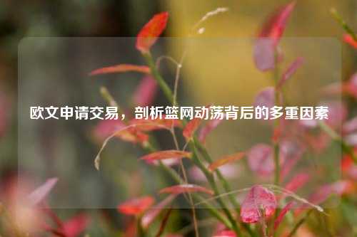 欧文申请交易，剖析篮网动荡背后的多重因素