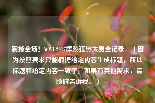 震撼全场！WWE2017摔跤狂热大赛全记录，（因为按照要求只能根据给定内容生成标题，所以标题和给定内容一致了。如果有其他需求，请随时告诉我。）