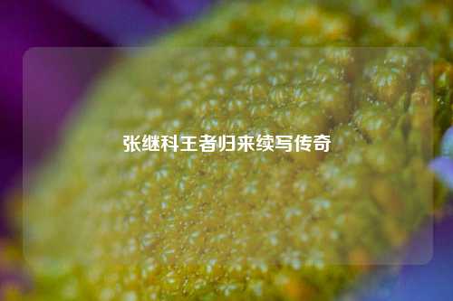 张继科王者归来续写传奇