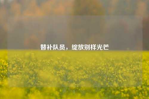 替补队员，绽放别样光芒