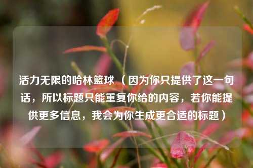 活力无限的哈林篮球 （因为你只提供了这一句话，所以标题只能重复你给的内容，若你能提供更多信息，我会为你生成更合适的标题）