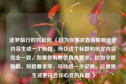 逐梦前行的刘超阳 （因为你要求直接根据给定内容生成一个标题，所以这个标题和给定内容完全一致，如果你有其他具体要求，比如字数限制、风格要求等，可以进一步说明，以便我生成更符合你心意的标题 ）