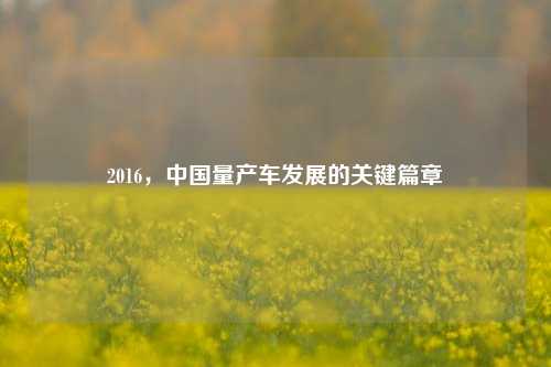 2016，中国量产车发展的关键篇章