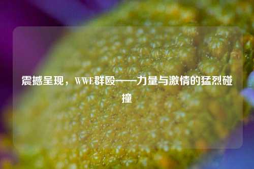震撼呈现，WWE群殴——力量与激情的猛烈碰撞