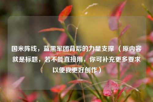国米阵线,蓝黑军团背后的力量支撑 (原内容就是标题,若不能直接用,你可补充更多要求以便我更好创作)