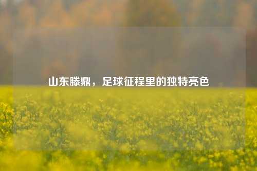 山东滕鼎，足球征程里的独特亮色