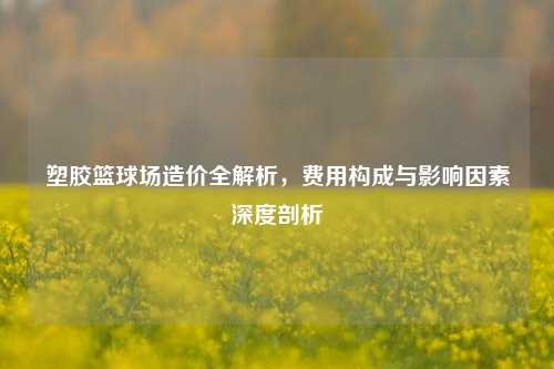 塑胶篮球场造价全解析，费用构成与影响因素深度剖析