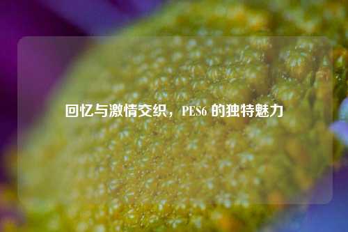 回忆与激情交织，PES6 的独特魅力