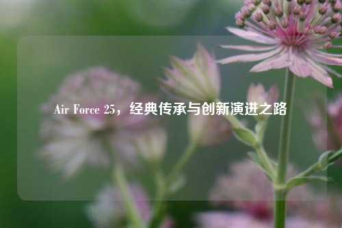 Air Force 25，经典传承与创新演进之路
