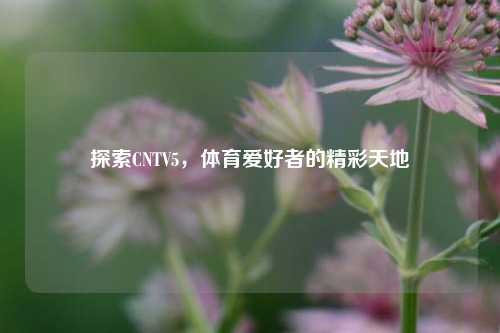 探索CNTV5，体育爱好者的精彩天地