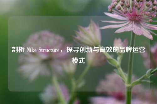 剖析 Nike Structure，探寻创新与高效的品牌运营模式