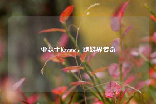 亚瑟士Kayano，跑鞋界传奇