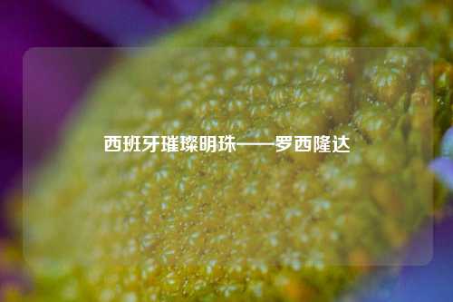 西班牙璀璨明珠——罗西隆达