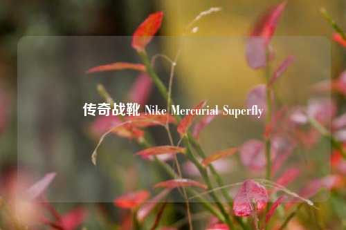 传奇战靴 Nike Mercurial Superfly