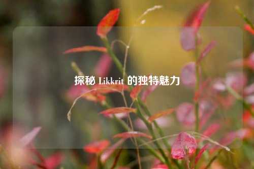 探秘 Likkrit 的独特魅力