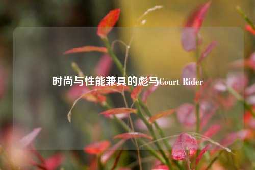 时尚与性能兼具的彪马Court Rider