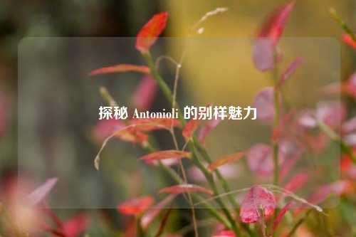 探秘 Antonioli 的别样魅力