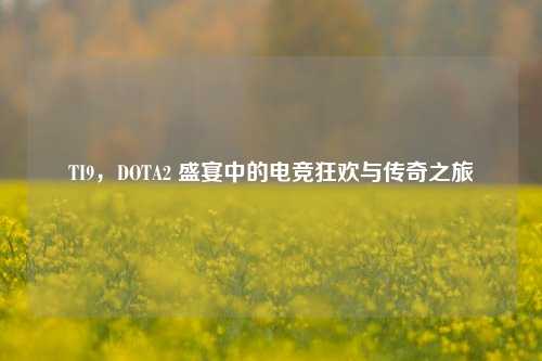 TI9,DOTA2 盛宴中的电竞狂欢与传奇之旅