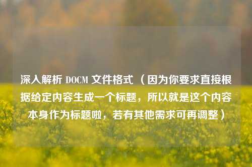 深入解析 DOCM 文件格式 （因为你要求直接根据给定内容生成一个标题，所以就是这个内容本身作为标题啦，若有其他需求可再调整）