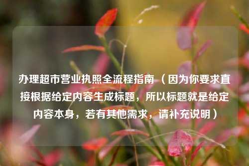办理超市营业执照全流程指南 （因为你要求直接根据给定内容生成标题，所以标题就是给定内容本身，若有其他需求，请补充说明）